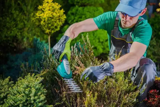 landscaping services Baltic